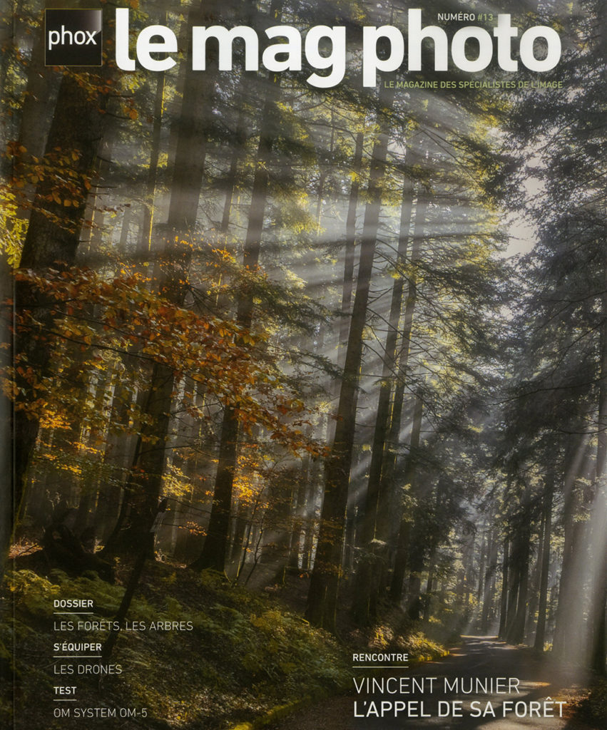 photo de magazine phox representant une fôretet des arbres